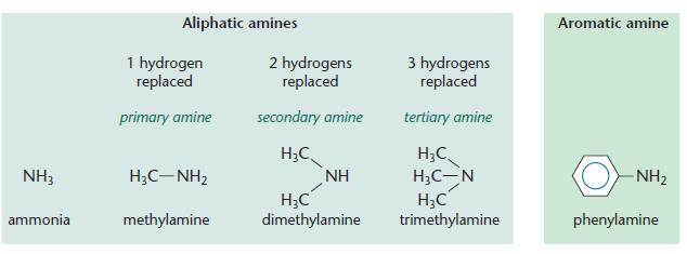 Amines | A2-level-level-revision, Chemistry, Aromatics-amines-amino ...